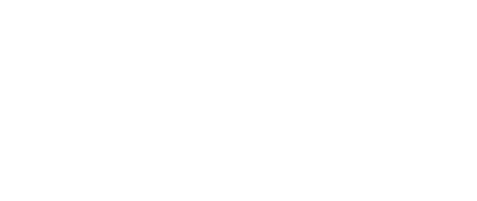 Africa Logistics Partner